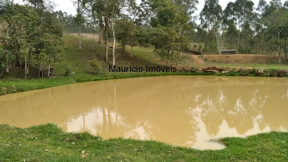 Sítio, 2 quartos, 10000 m² - Foto 4