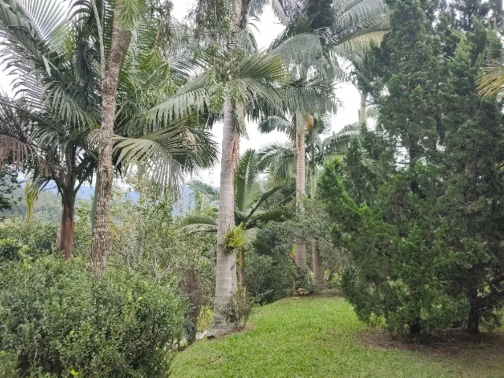 Sítio, 3 quartos, 14 m² - Foto 3
