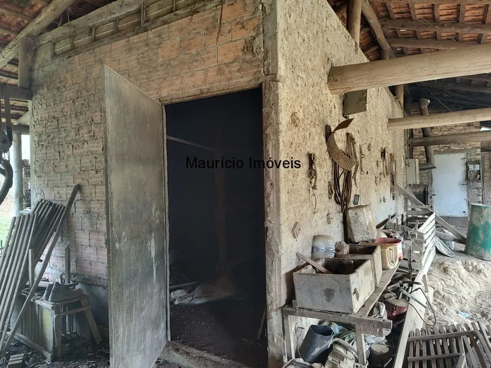 Sítio, 3 quartos, 17 m² - Foto 3