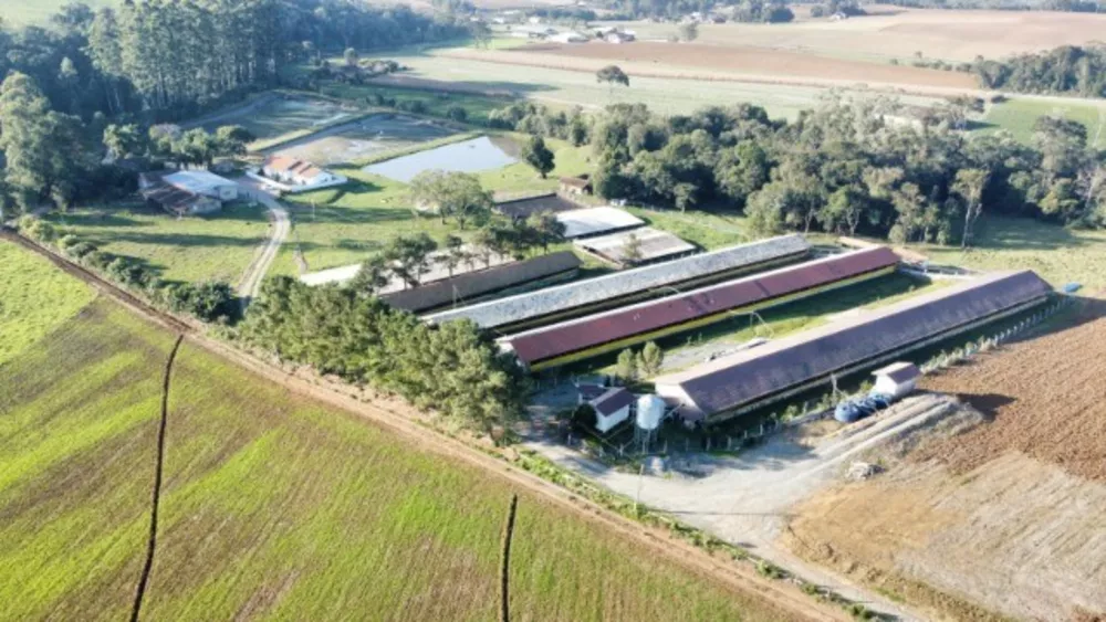 Sítio, 8 quartos, 23 hectares - Foto 4