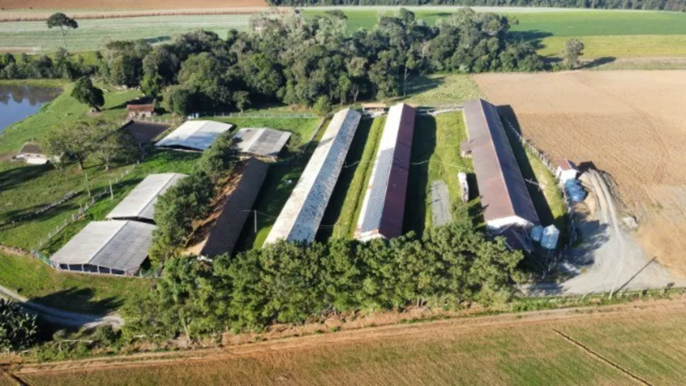 Sítio, 8 quartos, 23 hectares - Foto 3
