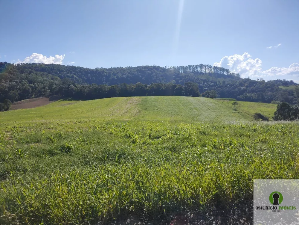 Fazenda à venda com 1 quarto, 11m² - Foto 2