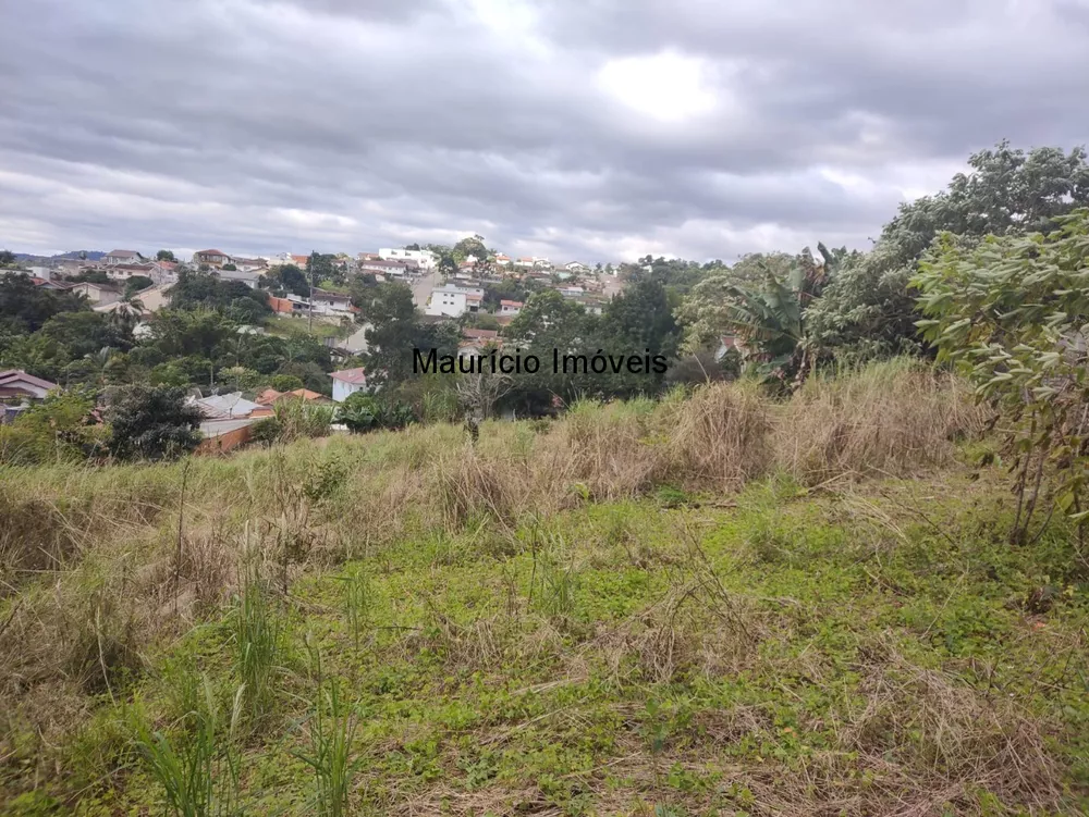 Casa, 6 quartos, 3504 m² - Foto 4