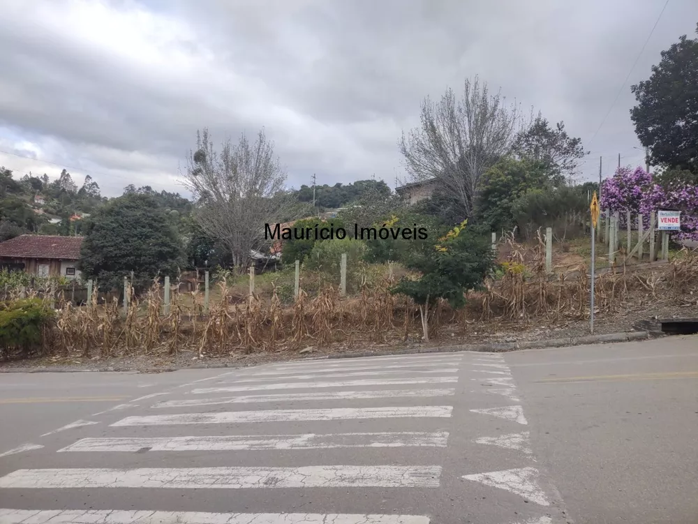 Terreno, 1245 m² - Foto 4