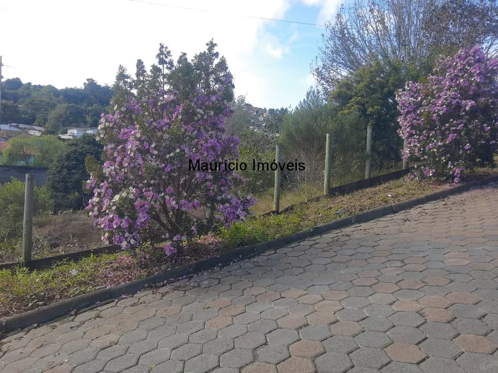 Terreno, 1245 m² - Foto 2