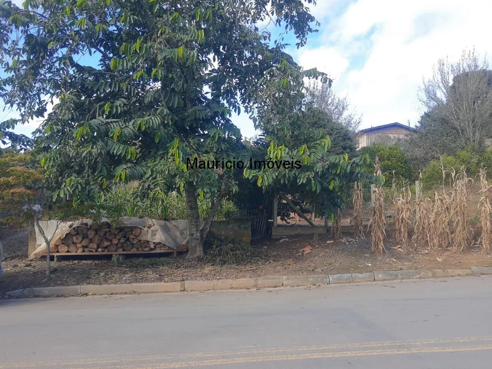 Terreno, 1245 m² - Foto 3