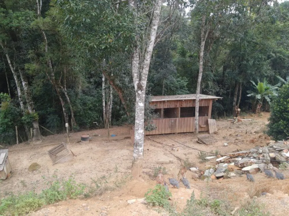 Sítio, 2 quartos, 4 m² - Foto 5