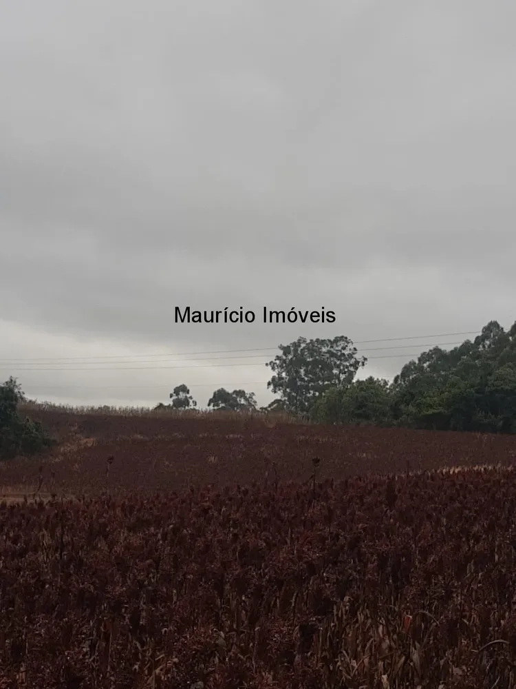 Terreno, 5 m² - Foto 7