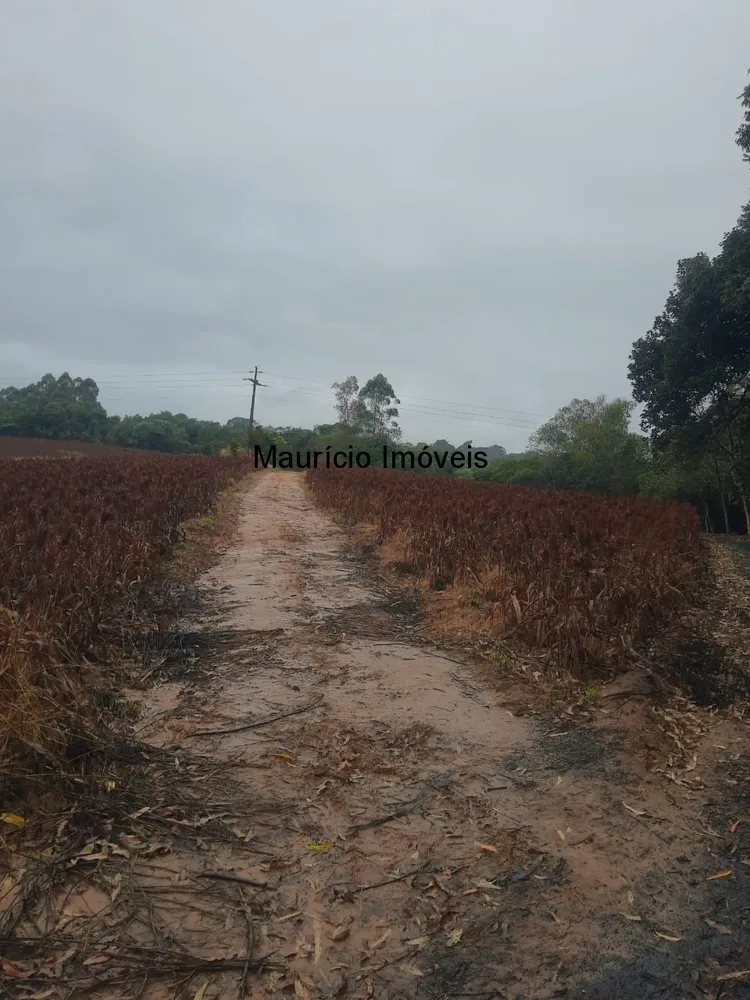 Terreno, 5 m² - Foto 5