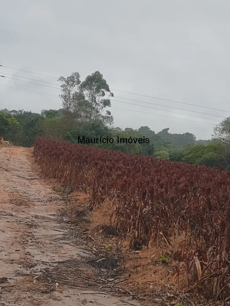 Terreno, 5 m² - Foto 4