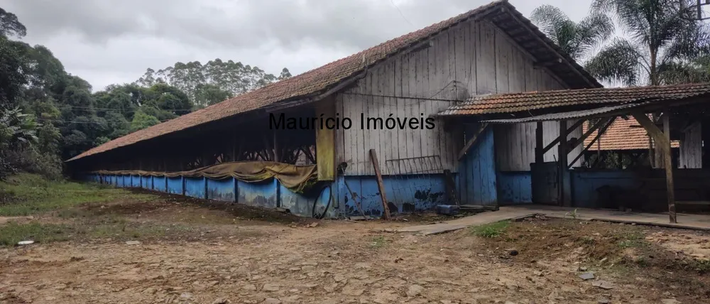 Fazenda, 2 hectares - Foto 9