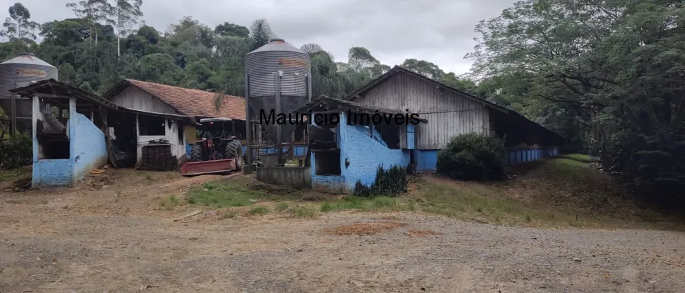 Fazenda, 2 hectares - Foto 1