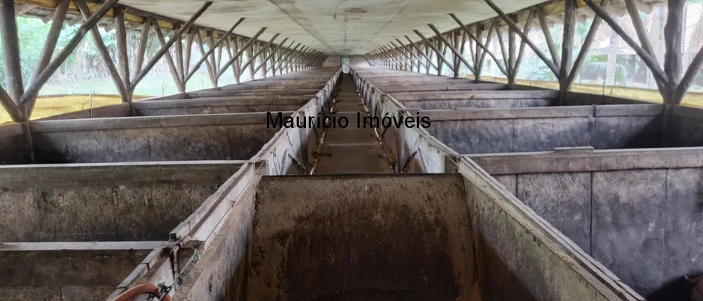 Fazenda, 2 hectares - Foto 7