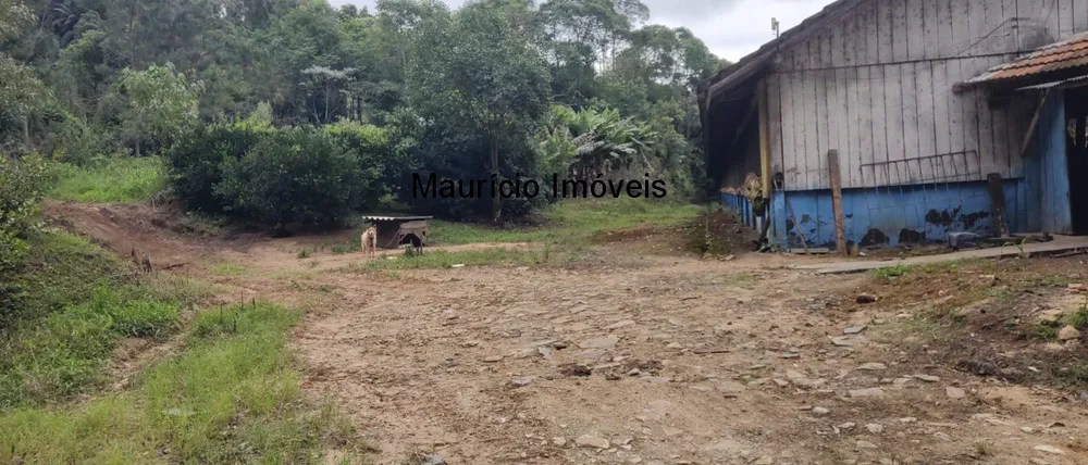 Fazenda, 2 hectares - Foto 10
