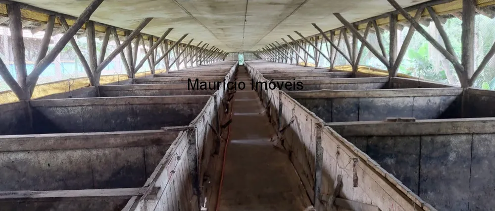Fazenda, 2 hectares - Foto 8
