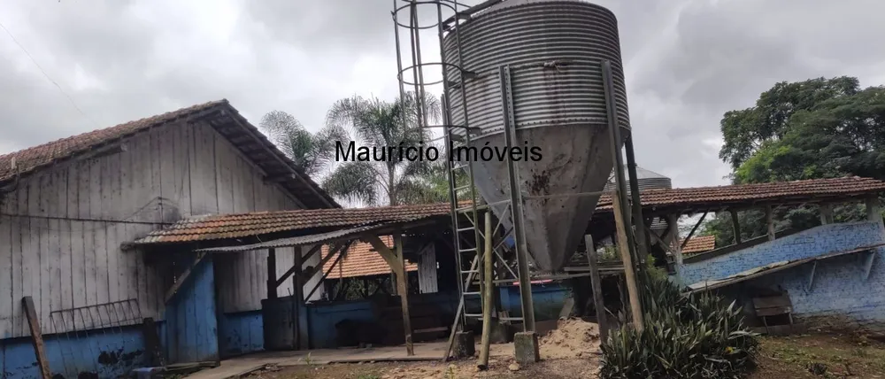 Fazenda, 2 hectares - Foto 11