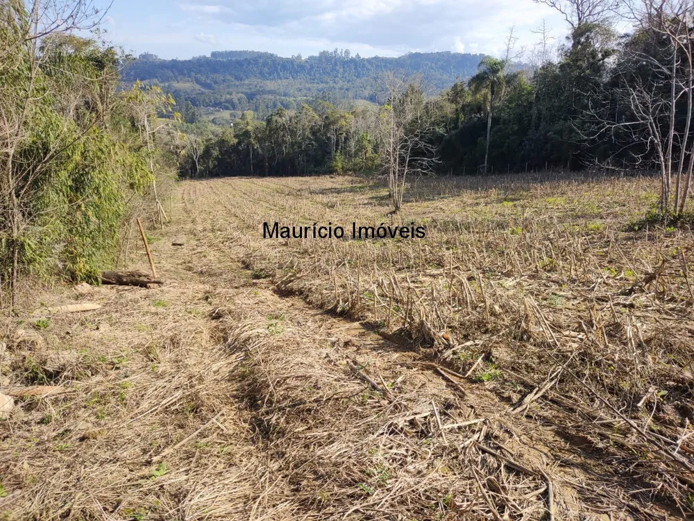 Terreno, 30000 m² - Foto 6