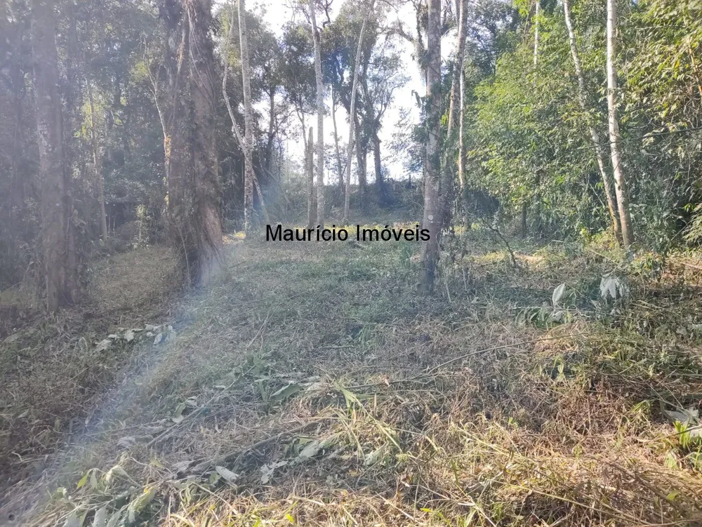 Terreno, 30000 m² - Foto 7