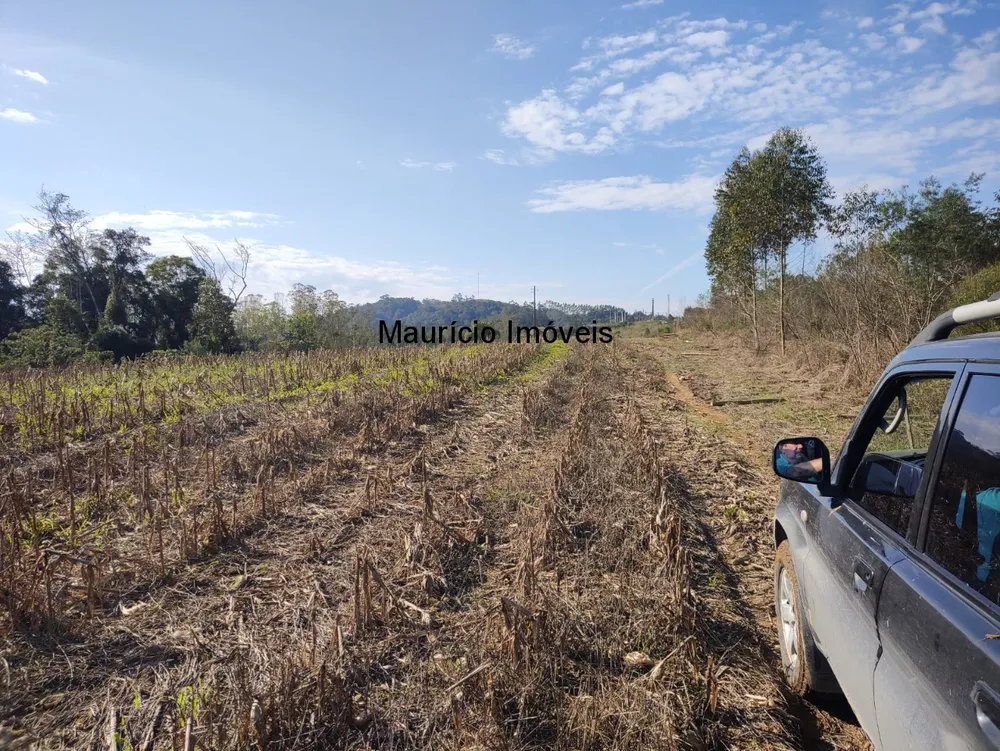 Terreno, 30000 m² - Foto 5