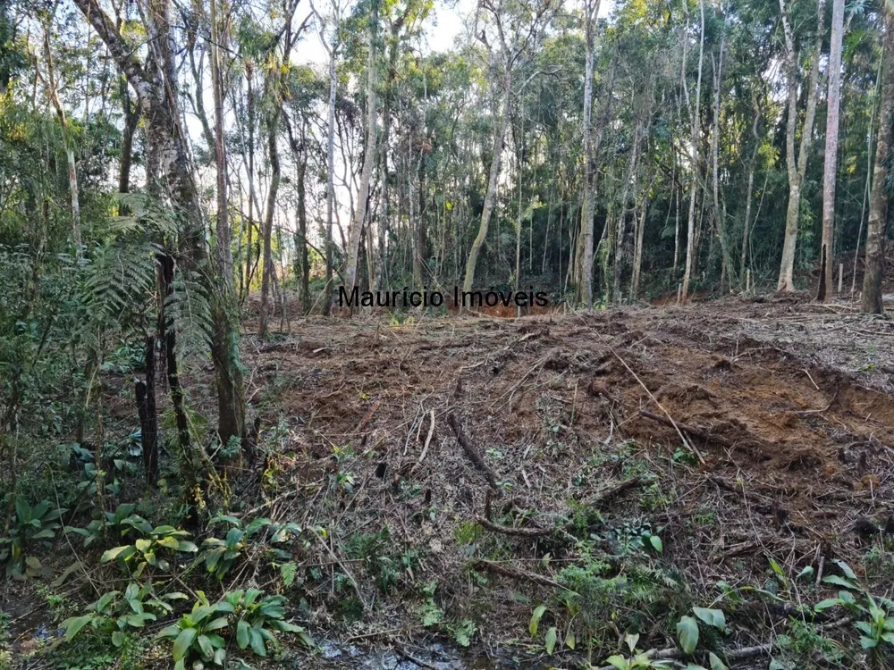 Terreno, 30000 m² - Foto 1