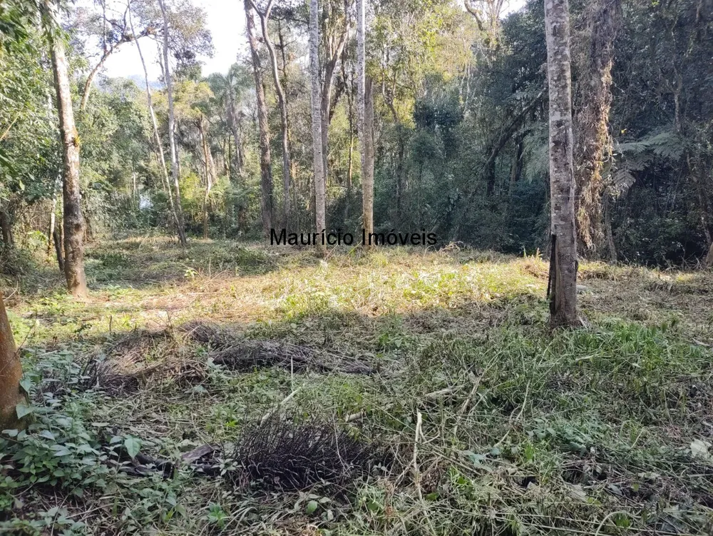 Terreno, 30000 m² - Foto 8