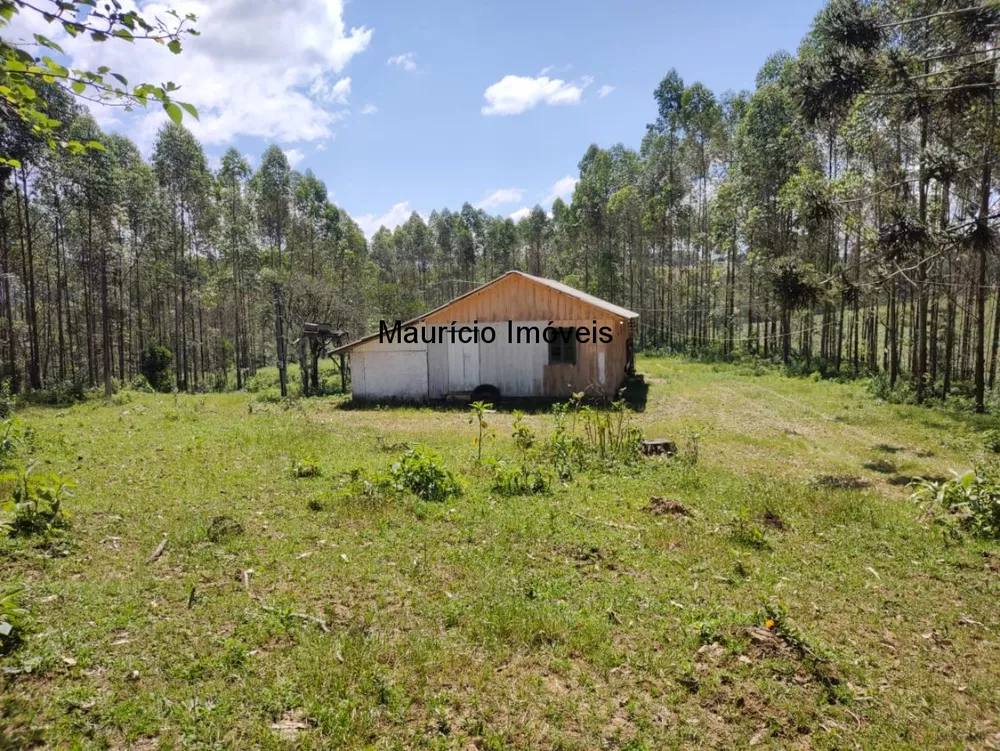 Chácara à venda com 2 quartos, 79700m² - Foto 1