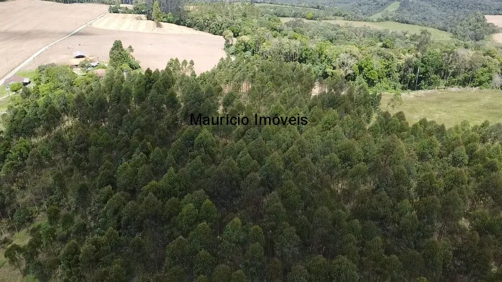 Sítio, 2 quartos, 8 hectares - Foto 6