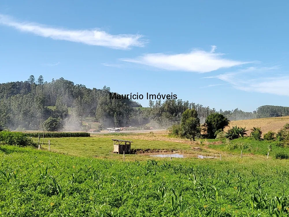 Terreno, 5000 m² - Foto 1