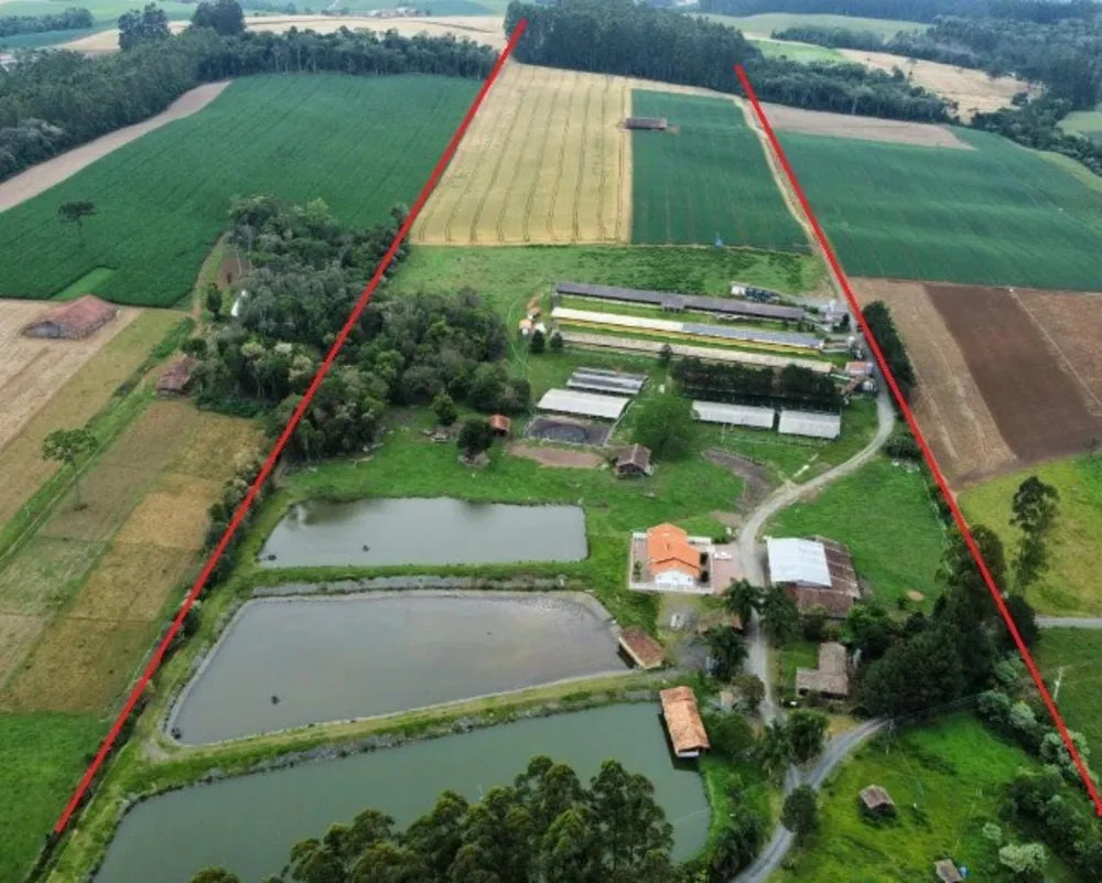 Sítio, 8 quartos, 23 hectares - Foto 1