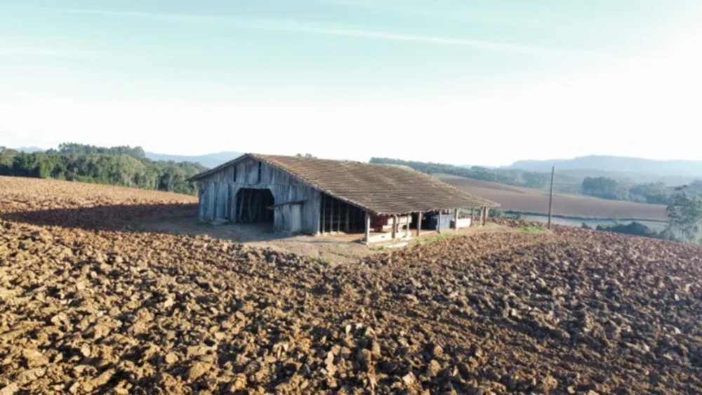 Sítio, 8 quartos, 23 hectares - Foto 6