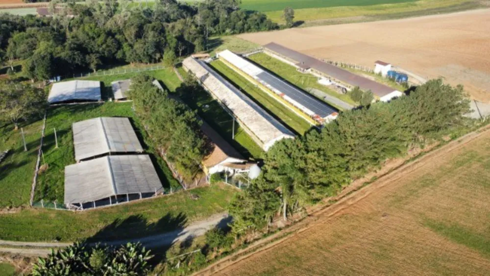 Sítio, 8 quartos, 23 hectares - Foto 11