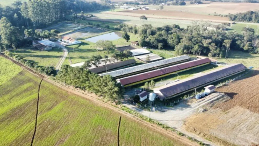 Sítio, 8 quartos, 23 hectares - Foto 8