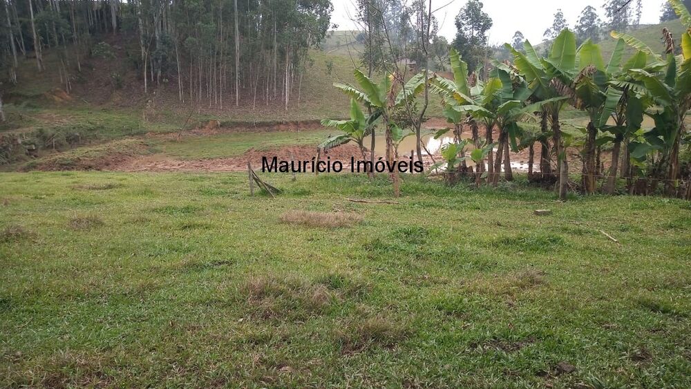 Sítio, 3 quartos, 3 hectares - Foto 13