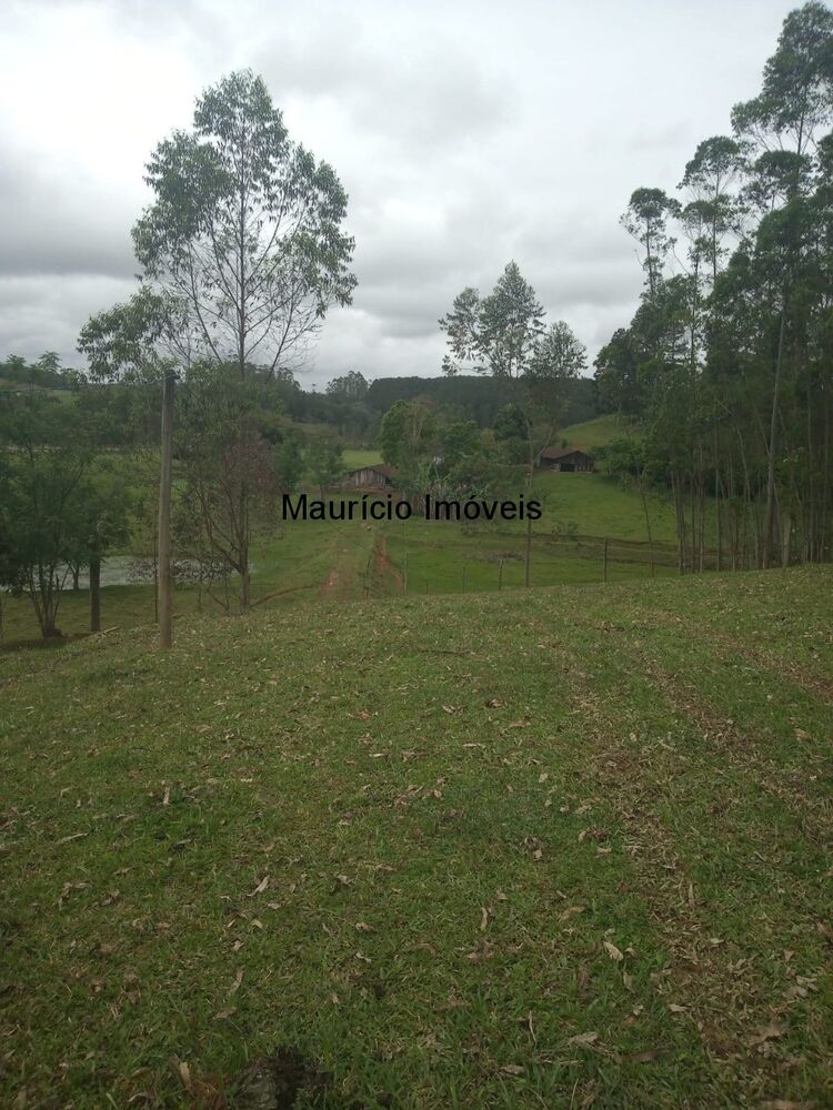 Sítio, 3 quartos, 3 hectares - Foto 16