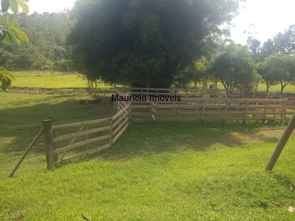 Sítio, 3 quartos, 3 hectares - Foto 20