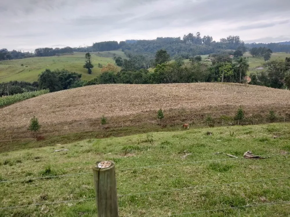 Sítio, 3 quartos, 14 m² - Foto 2