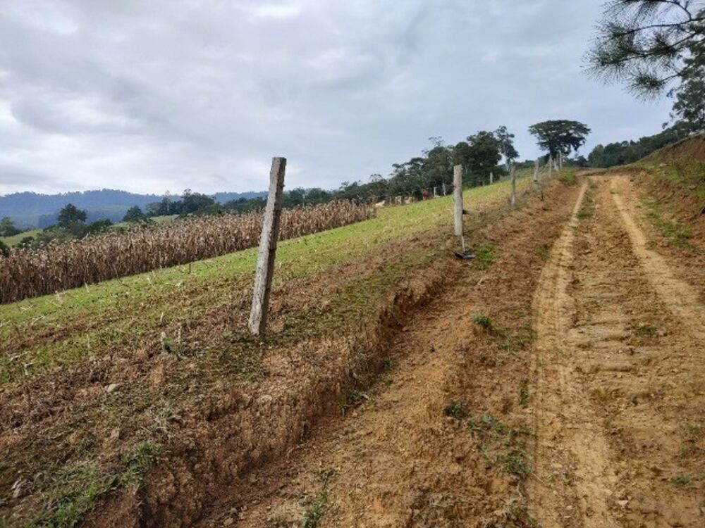 Sítio, 3 quartos, 14 m² - Foto 6