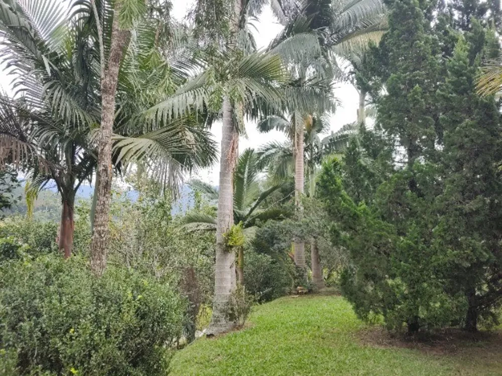 Sítio, 3 quartos, 14 m² - Foto 3