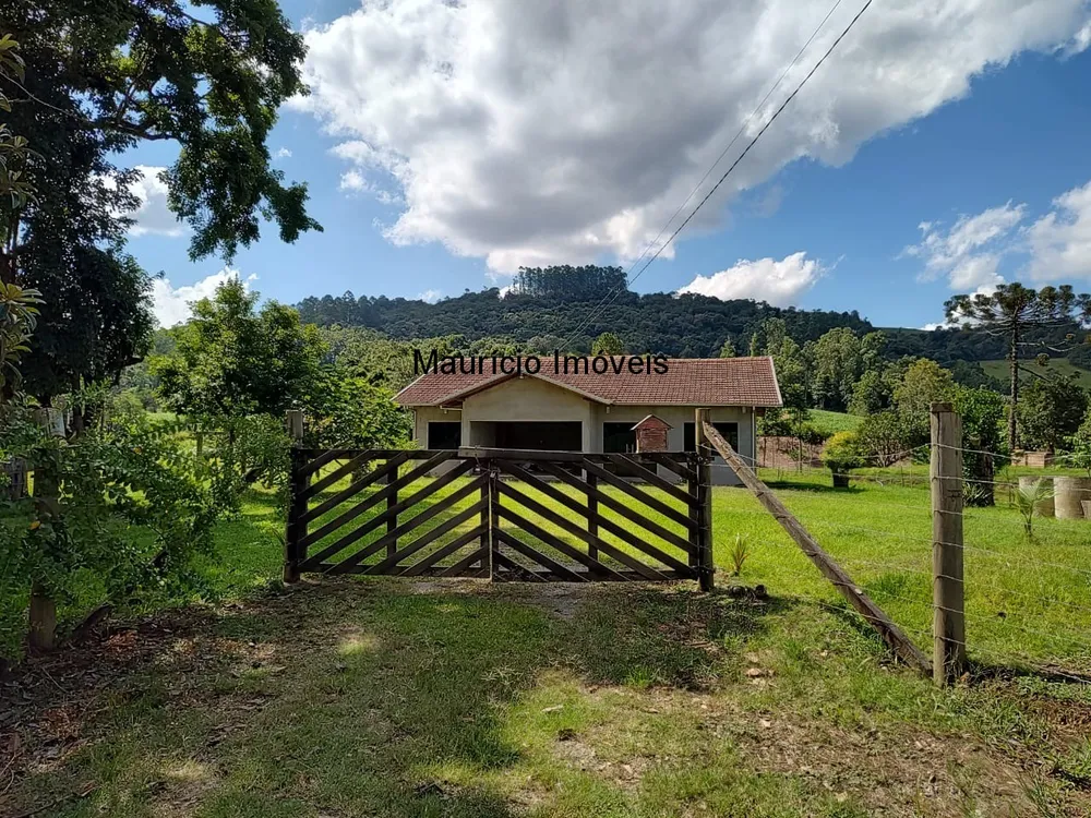 Chácara, 3 quartos, 8077 m² - Foto 5