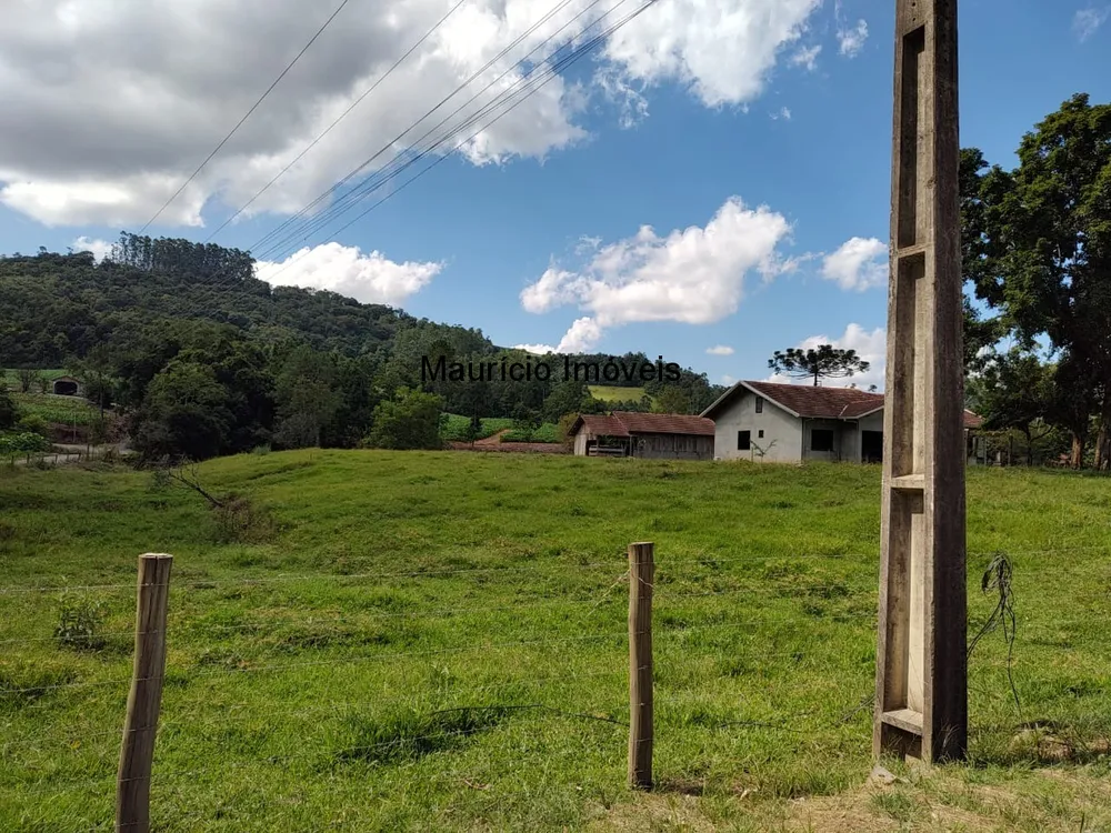 Chácara, 3 quartos, 8077 m² - Foto 4