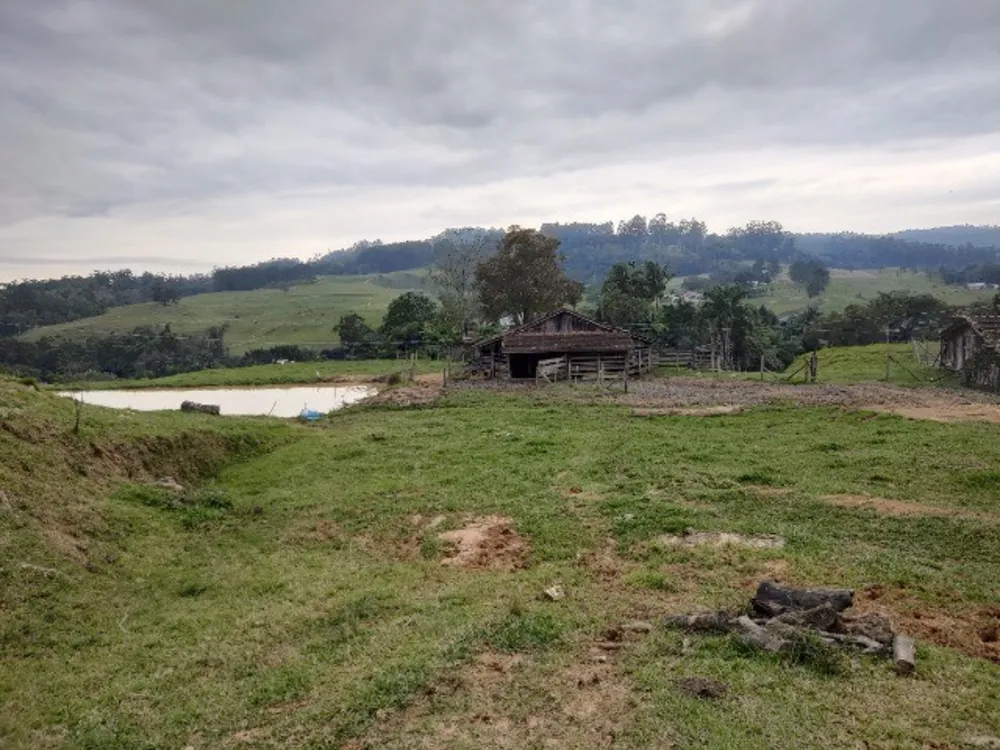 Chácara, 3 quartos, 2 hectares - Foto 6