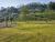 Sítio, 5 quartos, 4 hectares - Foto 7