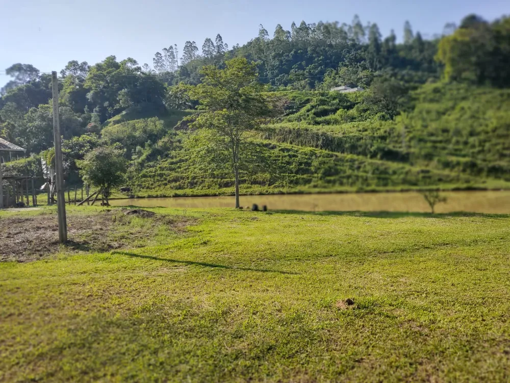 Sítio, 5 quartos, 4 hectares - Foto 4