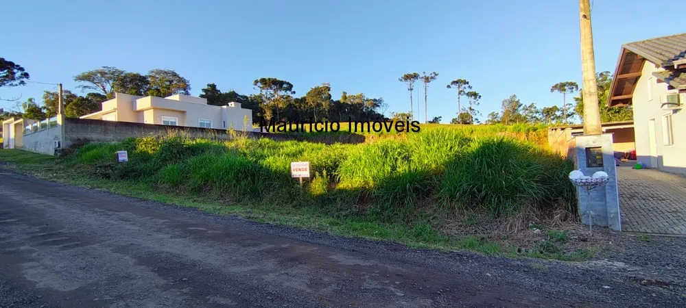 Terreno, 397 m² - Foto 5