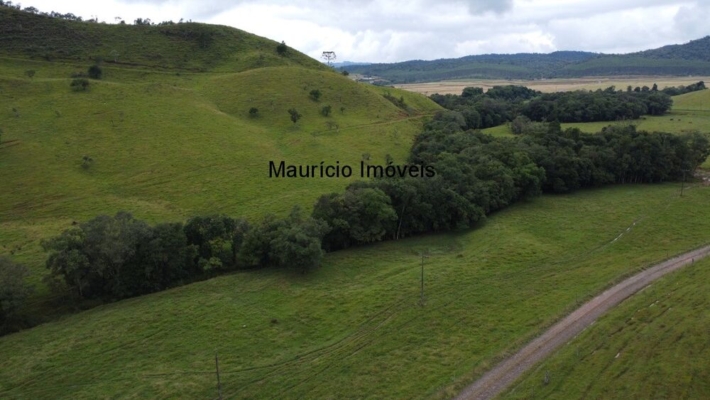 Fazenda à venda, 184m² - Foto 4