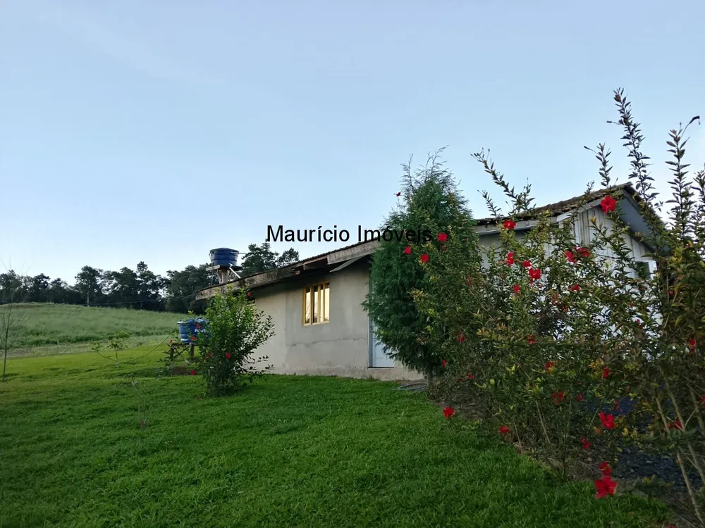 Sítio, 4 quartos, 3 hectares - Foto 2