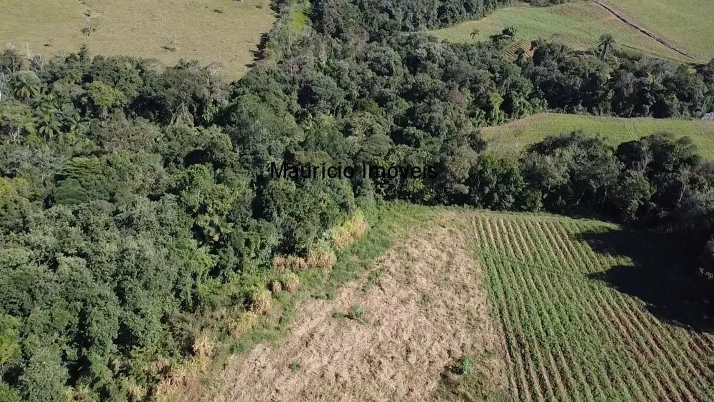 Sítio, 4 quartos, 3 hectares - Foto 4
