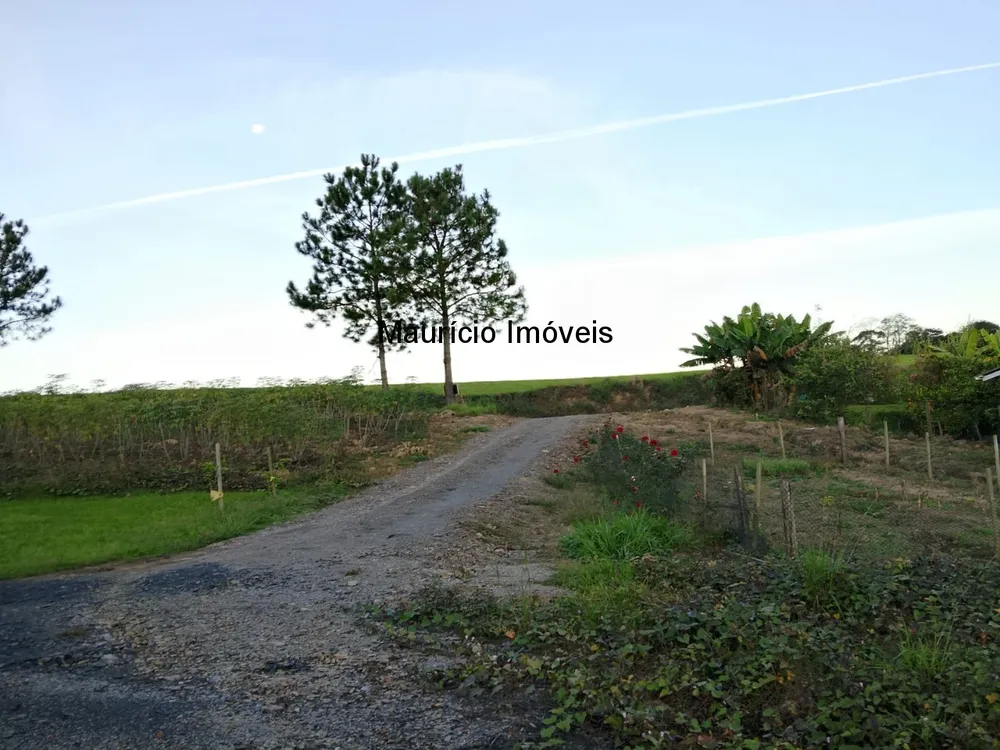Sítio, 4 quartos, 3 hectares - Foto 6