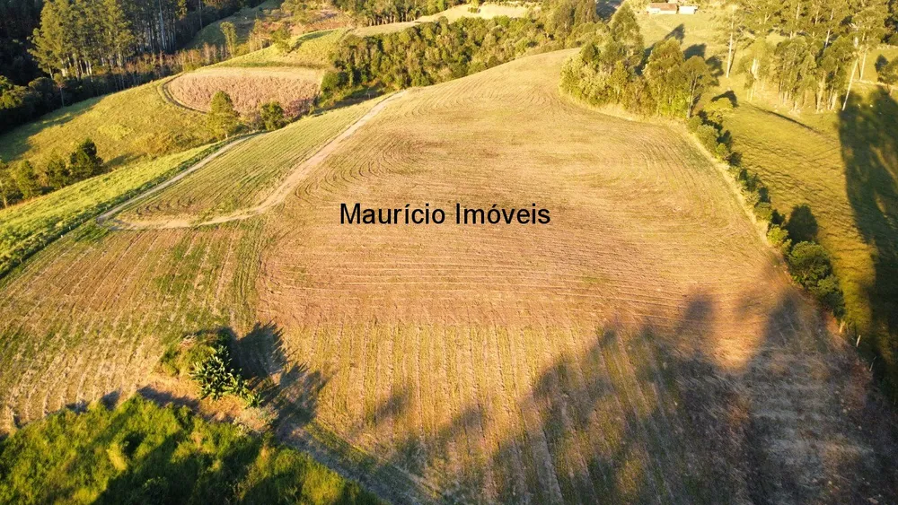 Sítio, 2 quartos, 9 m² - Foto 3