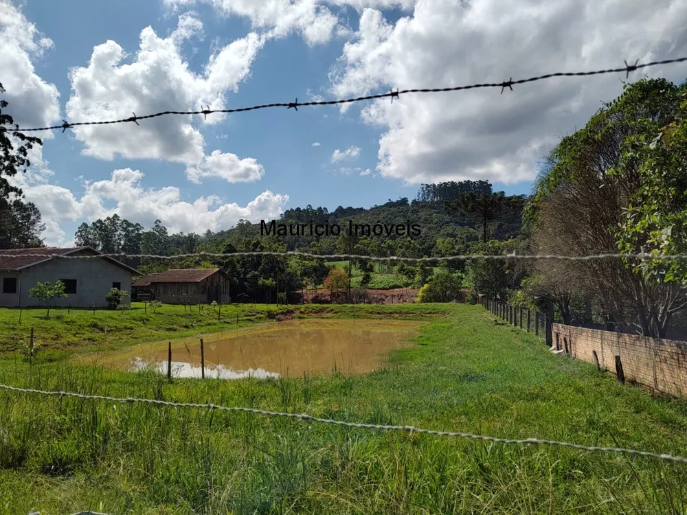 Sítio, 3 quartos, 8077 m² - Foto 15